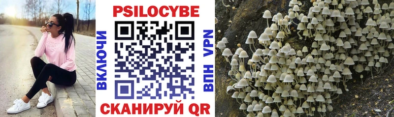 Купить  Троицк  Галлюциногенные грибы прущие грибы 